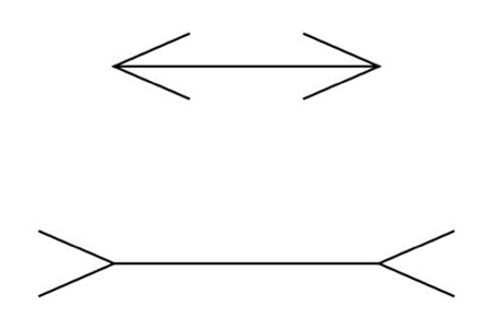 Figura 2. Illusione di Müller-Lyer